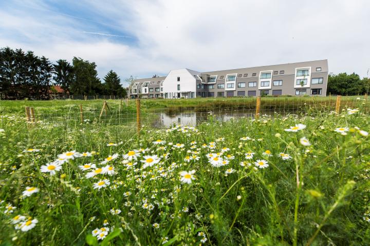 De Hoef exterieur in de weide