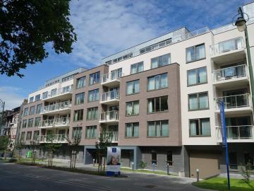 wzc souverain header