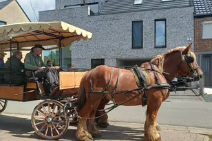Promenade en calèche pour des résidents de la résidence Het Dorp