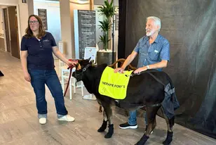 Activité Zoothérapie à la résidence Ter Eyke