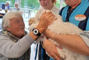 Résidente durant une activité Zoothérapie à la résidence Pitthem