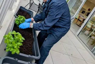 Résident en activité jardinage à la résidence Pitthem
