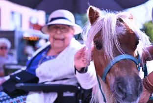 Résidente caressant un poney dans le cadre d'une activité à la résidence Boschart