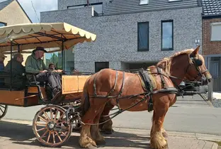 Promenade en calèche pour des résidents de la résidence Het Dorp