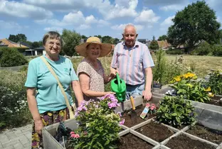 Résidents en activité jardinage à la résidence De Hoef
