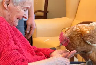 Résidente donnant à manger à une poule à la résidence Terrasses des Hauts Prés