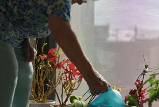 Résidente arrosant ses plantes dans sa chambre à la résidence Belfair