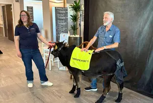 Activité Zoothérapie à la résidence Ter Eyke