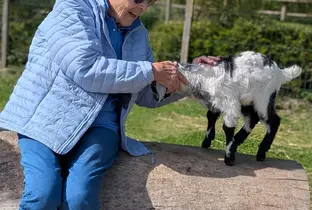 Résidente caressant une chèvre à la résidence Zilverduin
