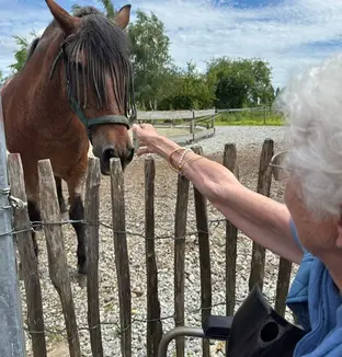 Activité zoothérapie avec chevaux pour les habitants de la résidence Château d'Or