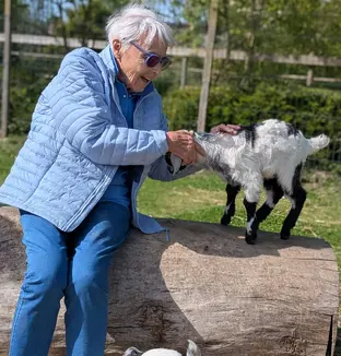 Résidente caressant une chèvre à la résidence Zilverduin