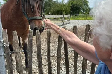 Activité zoothérapie avec chevaux pour les habitants de la résidence Château d'Or